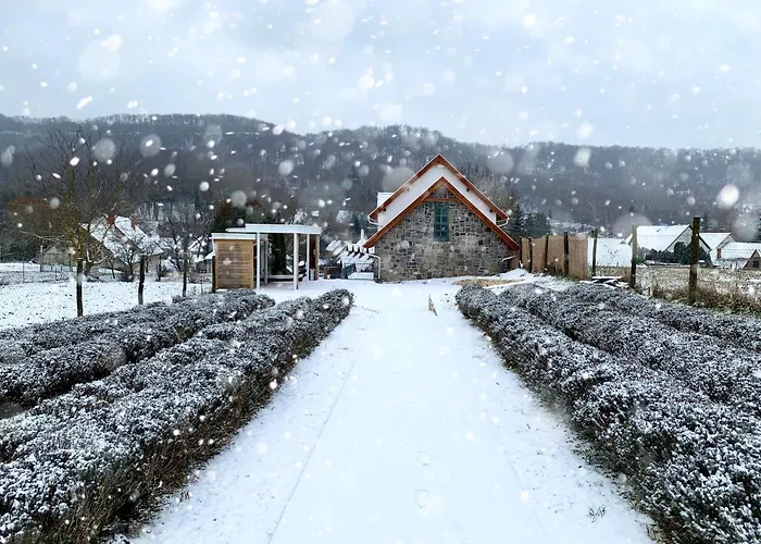 Hazai Provence 호텔 4*